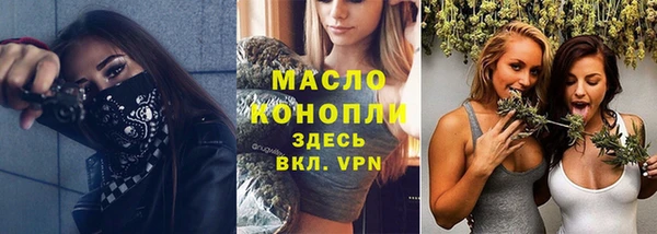 молекула духа Алексеевка