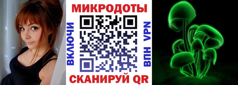 Псилоцибиновые грибы Cubensis  Шелехов 